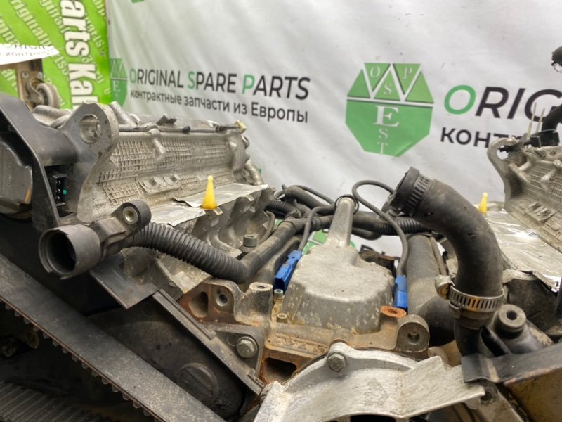 Двигатель, 63700 рублей, Калининград