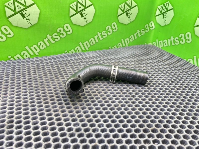 Шланг гур, 800 рублей, Калининград