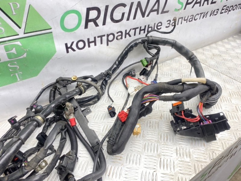 Проводка ДВС, 5200 рублей, Калининград