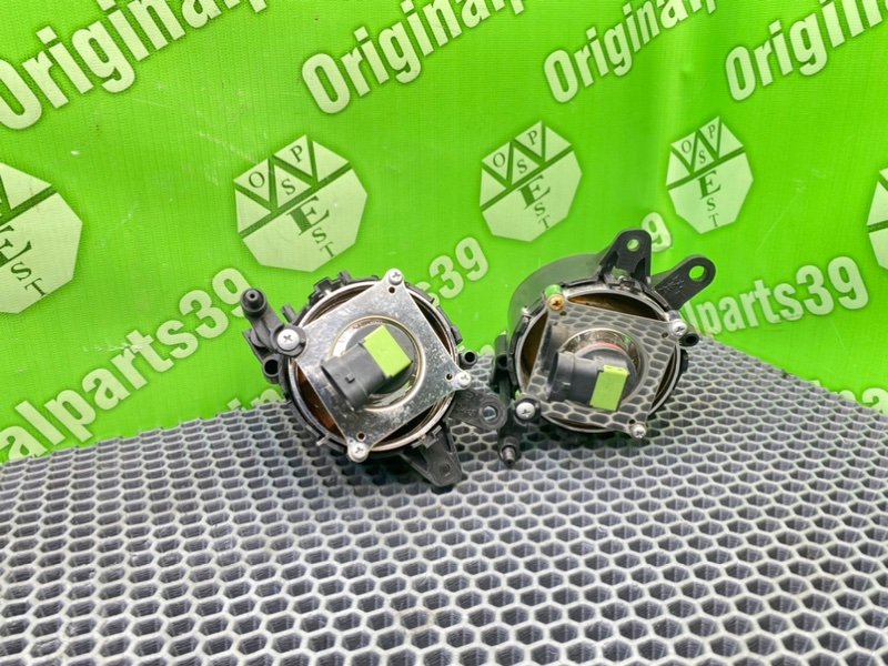 Птф, 3100 рублей, Калининград