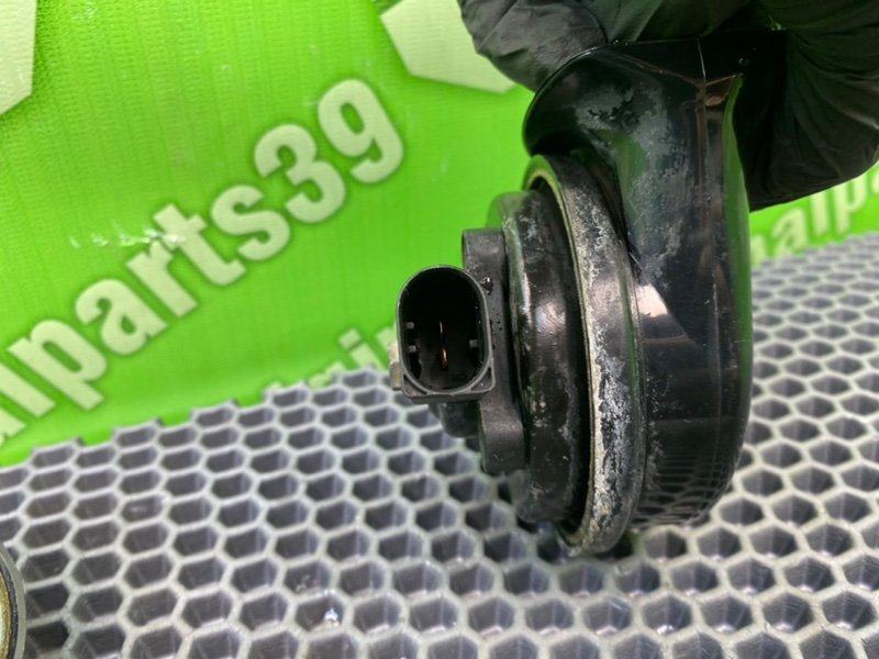 Звуковой сигнал, 1900 рублей, Калининград