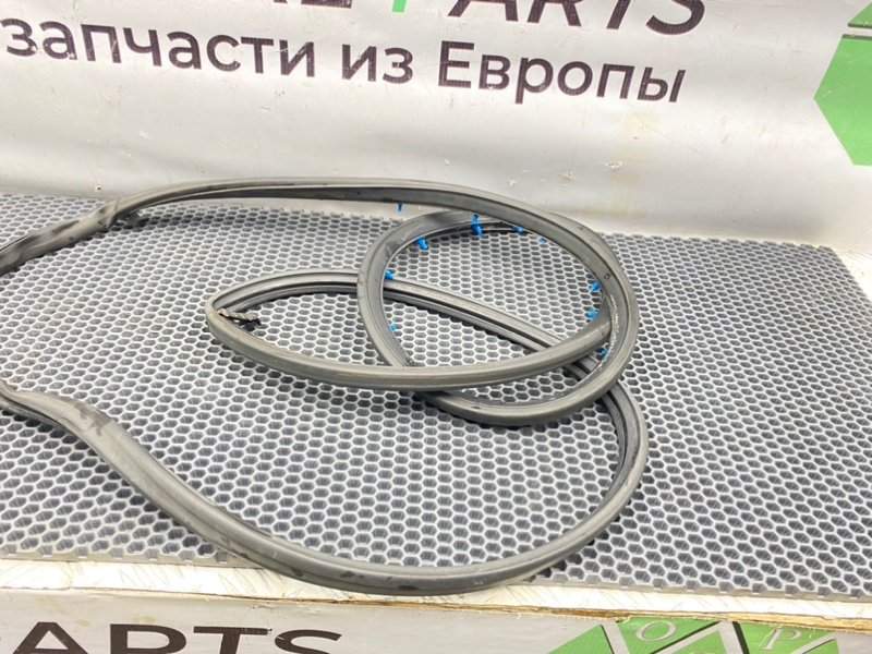 Уплотнитель двери, 1000 рублей, Калининград