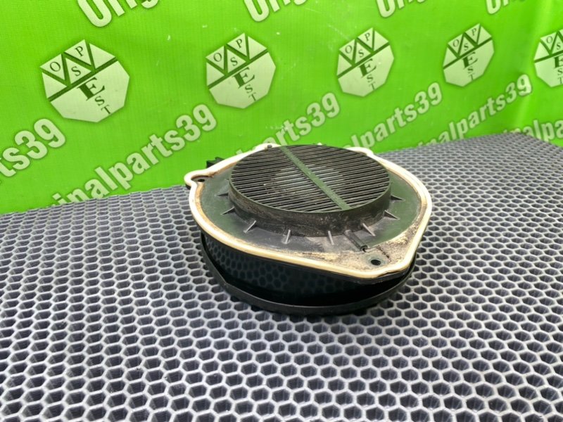 Динамик, 1000 рублей, Калининград