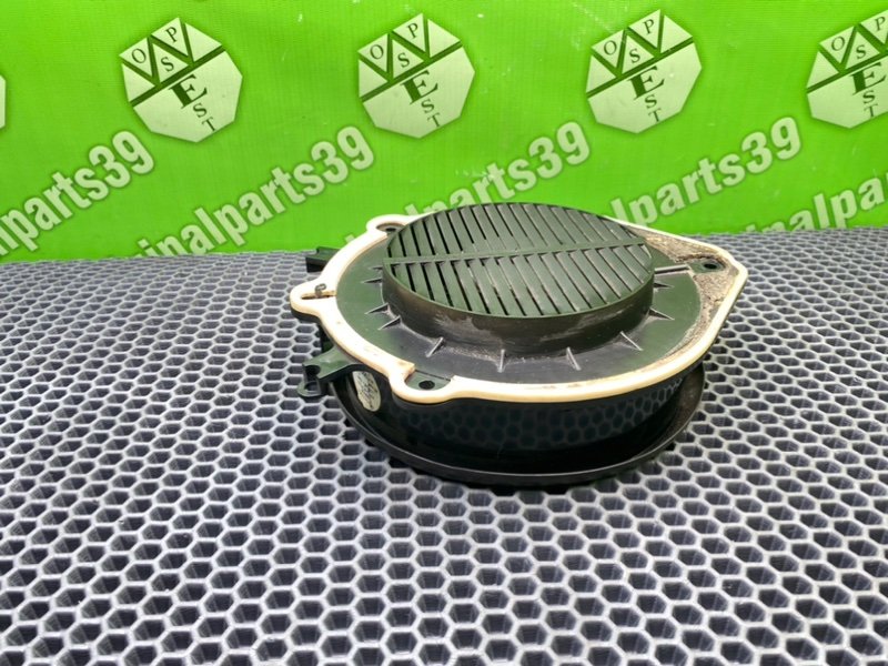 Динамик, 1000 рублей, Калининград