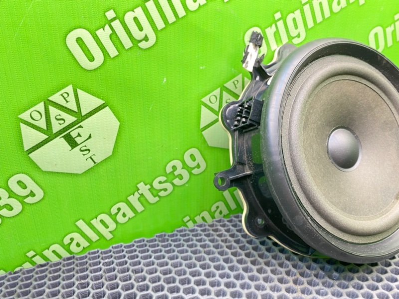 Динамик, 1000 рублей, Калининград