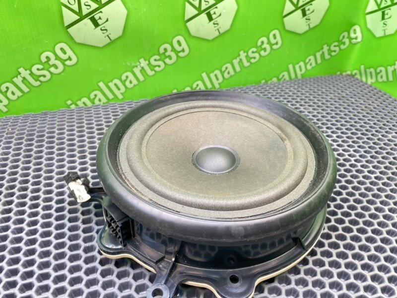 Динамик, 1000 рублей, Калининград