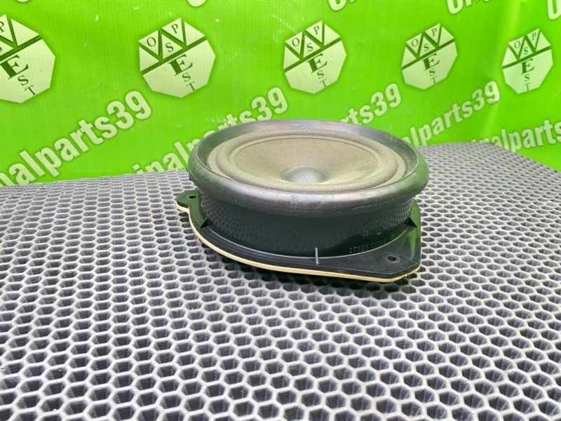 Динамик, 1000 рублей, Калининград