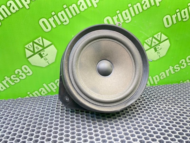 Динамик, 1000 рублей, Калининград