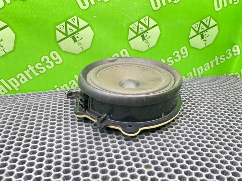 Динамик, 1000 рублей, Калининград