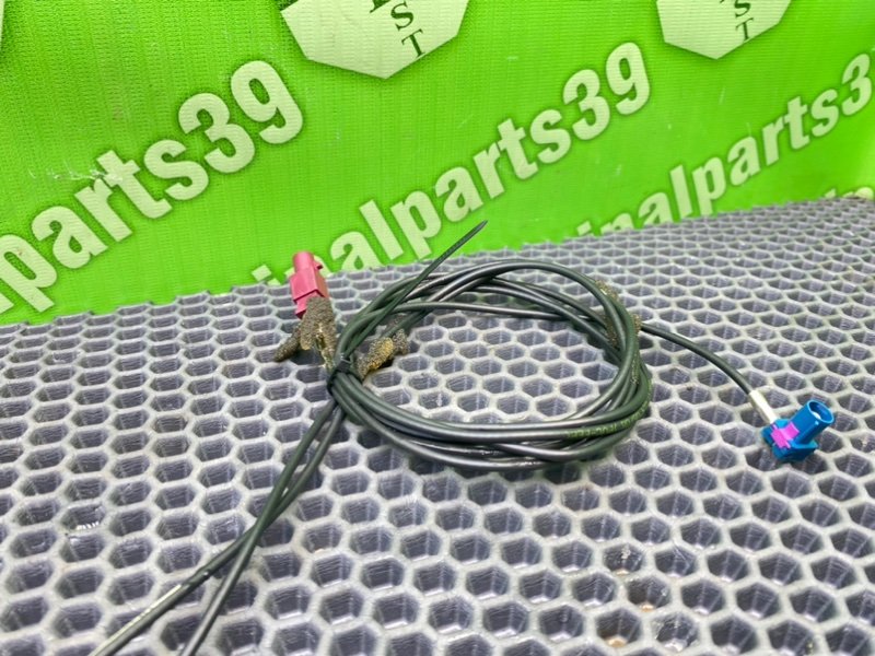 Антенна, 1000 рублей, Калининград