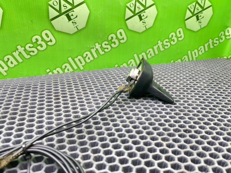 Антенна, 1000 рублей, Калининград