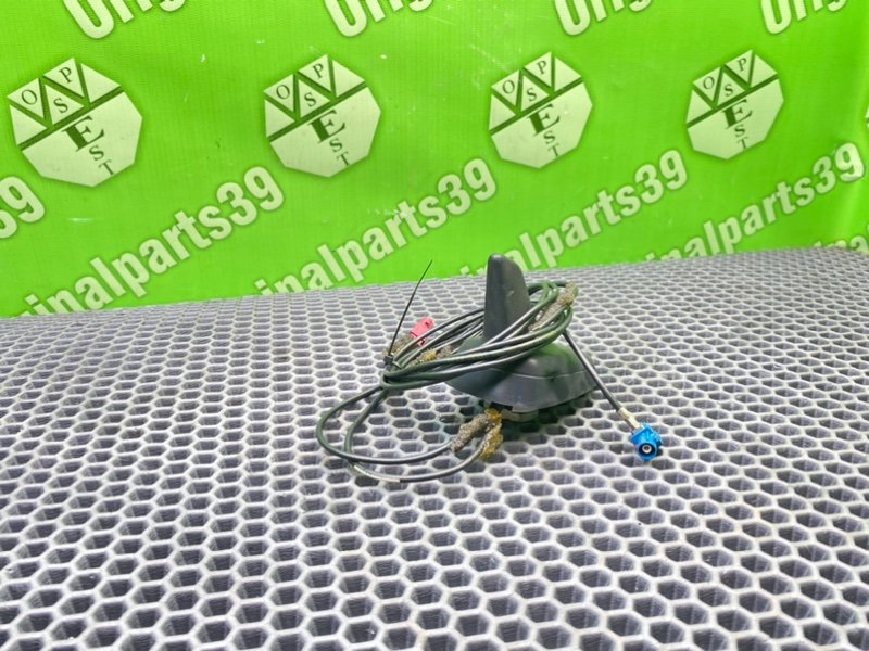 Антенна, 1000 рублей, Калининград