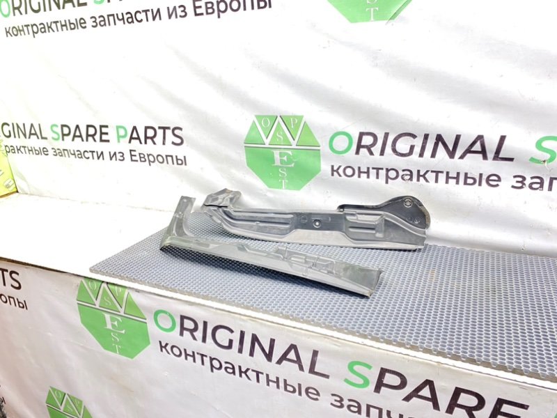 Пыльник крыла, 1000 рублей, Калининград