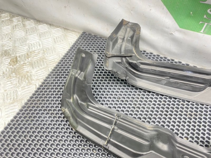 Пыльник крыла, 1000 рублей, Калининград