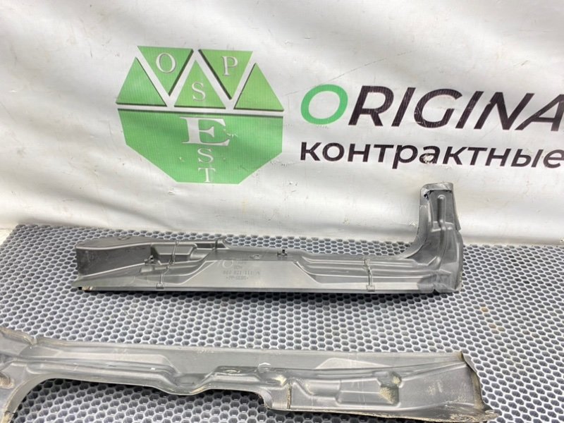 Пыльник крыла, 1000 рублей, Калининград