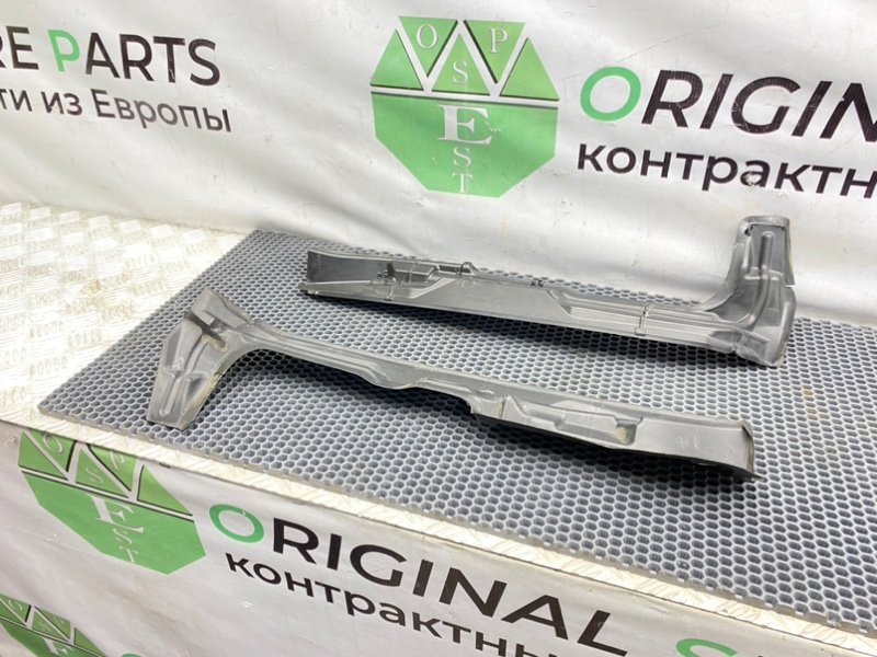 Пыльник крыла, 1000 рублей, Калининград