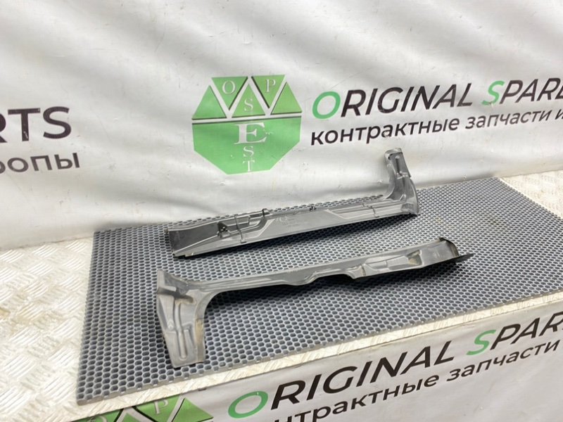 Пыльник крыла, 1000 рублей, Калининград