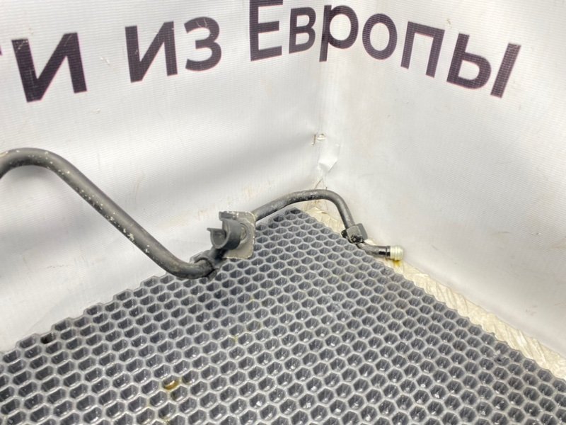 Трубка Гур, 3100 рублей, Калининград