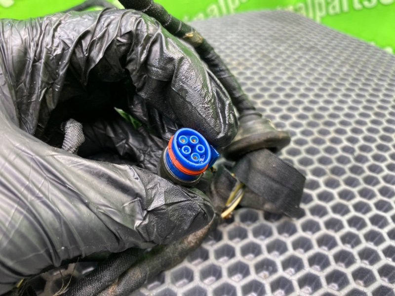 Проводка парктроника, 2200 рублей, Калининград