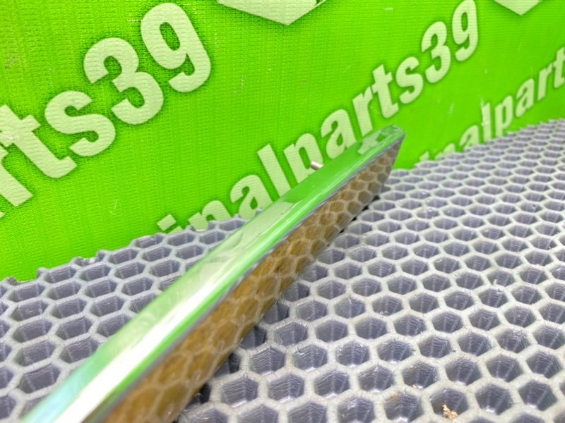 Дерево торпеды, 900 рублей, Калининград