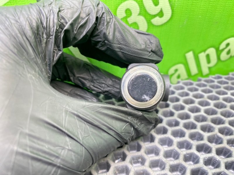 Парктроник, 800 рублей, Калининград