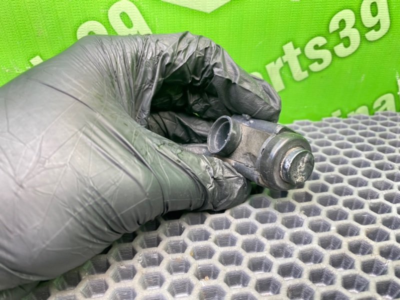 Парктроник, 800 рублей, Калининград