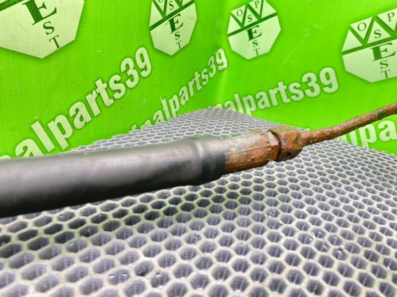 Трубка Гур, 3600 рублей, Калининград