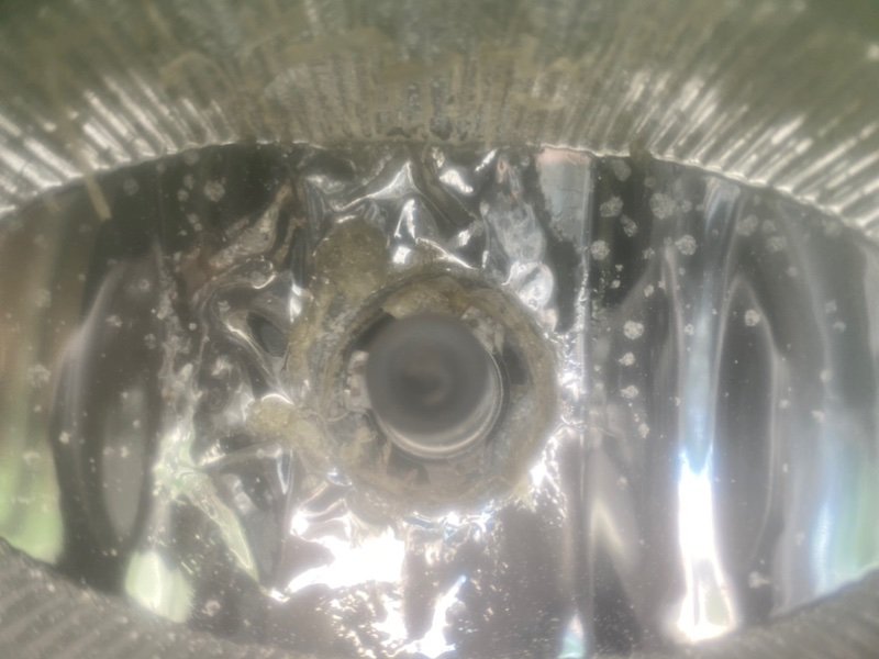 Птф, 1000 рублей, Калининград