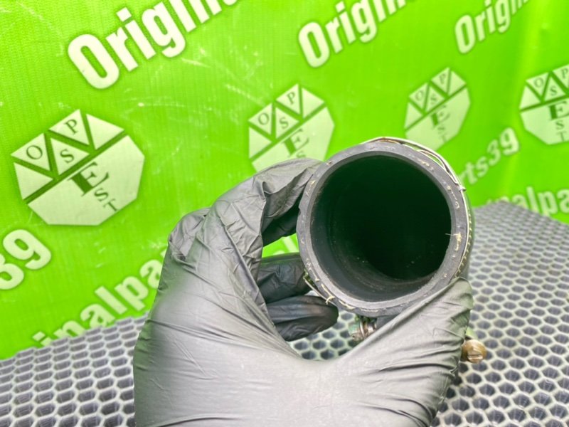 Патрубок интеркулера, 1400 рублей, Калининград