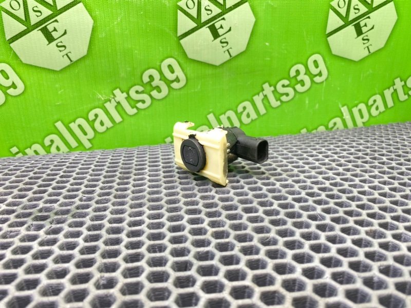 Парктроник, 1200 рублей, Калининград