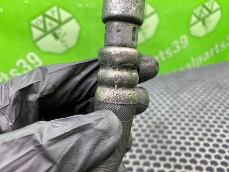 Трубка Гур, 1600 рублей, Калининград