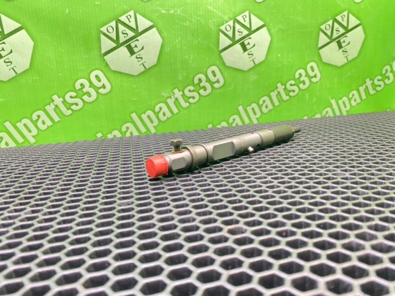 Форсунка топливная, 3100 рублей, Калининград