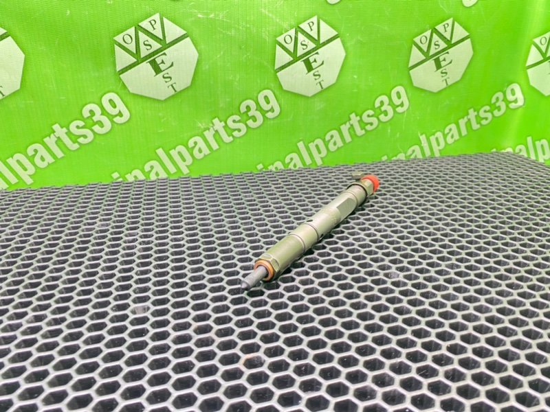 Форсунка топливная, 3100 рублей, Калининград