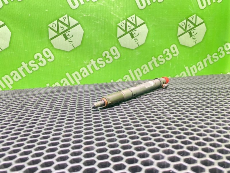 Форсунка топливная, 3100 рублей, Калининград