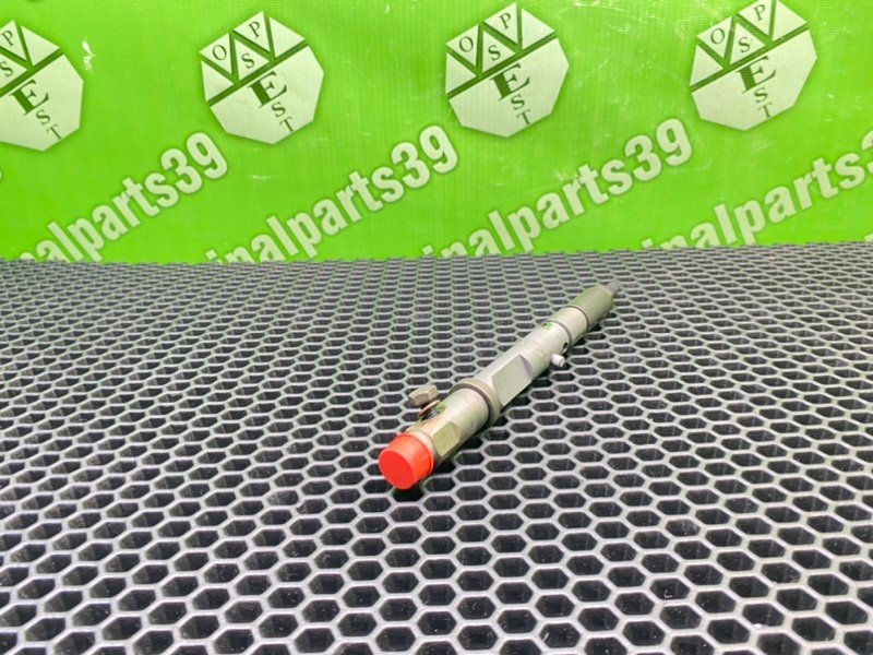 Форсунка топливная, 3100 рублей, Калининград