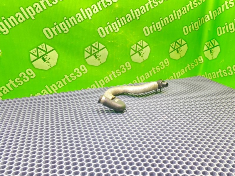 Трубка, 1600 рублей, Калининград