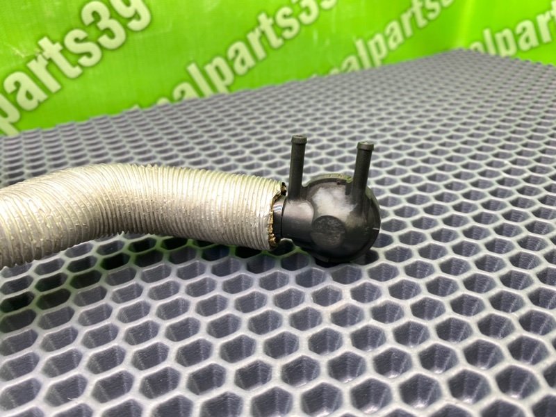 Трубка, 1600 рублей, Калининград