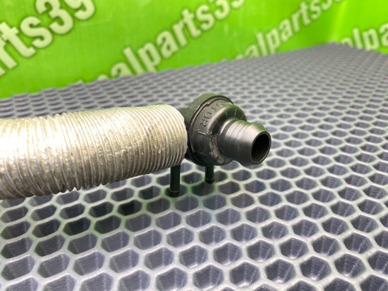 Трубка, 1600 рублей, Калининград