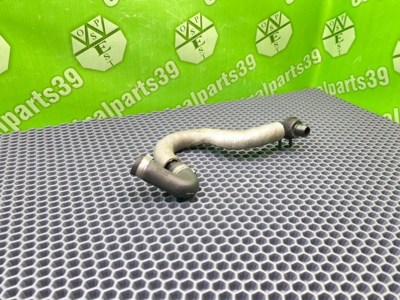 Трубка, 1600 рублей, Калининград