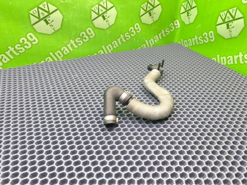 Трубка, 1600 рублей, Калининград