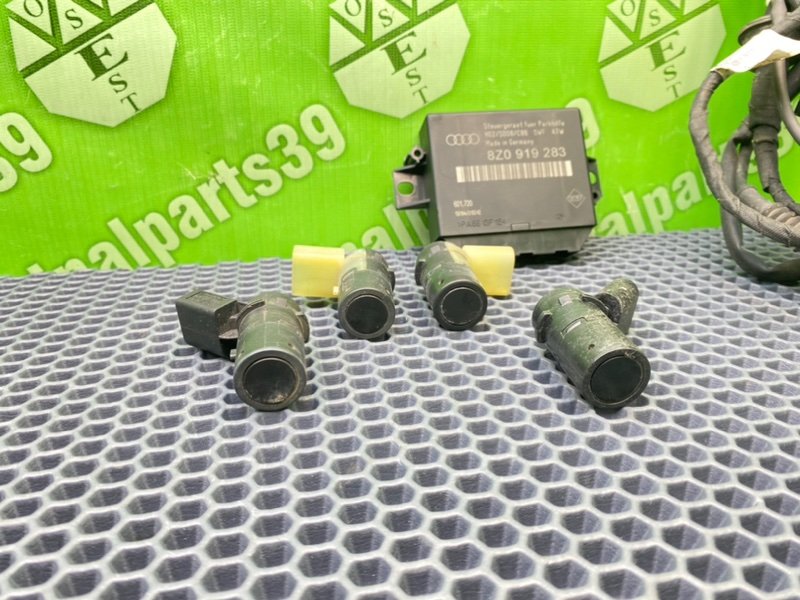 Парктроник, 3100 рублей, Калининград