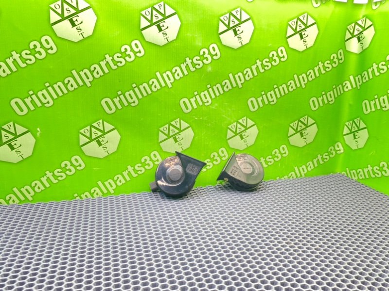 Звуковой сигнал, 2100 рублей, Калининград