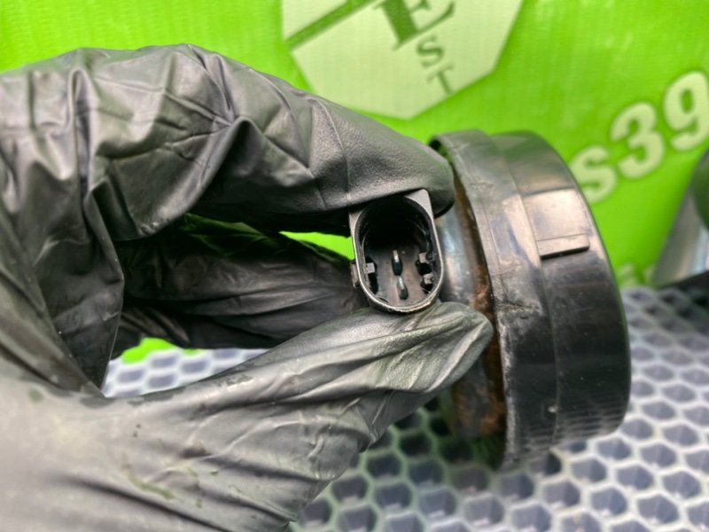 Звуковой сигнал, 2100 рублей, Калининград