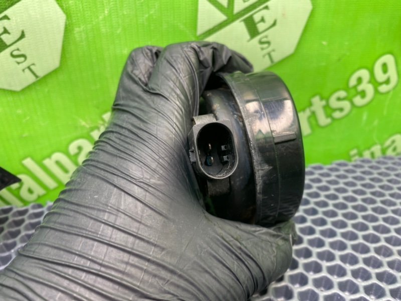 Звуковой сигнал, 2100 рублей, Калининград