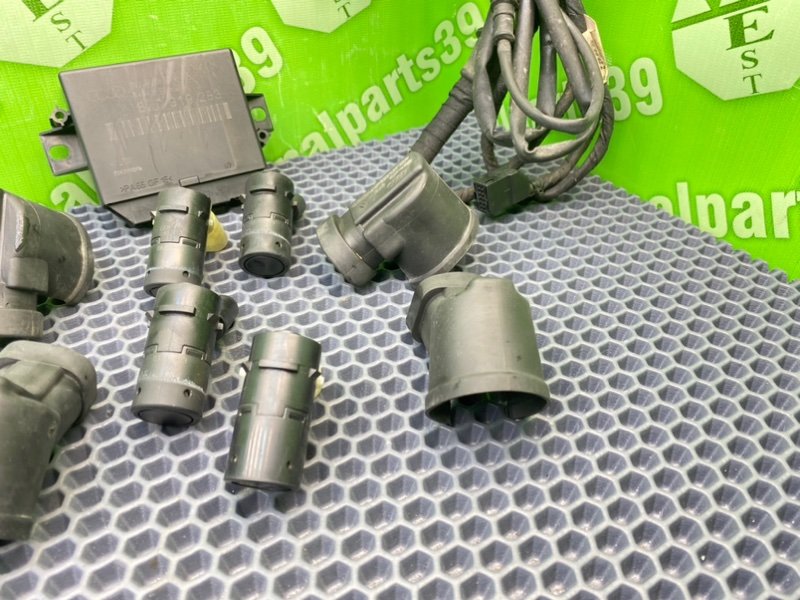 Парктроник, 3100 рублей, Калининград