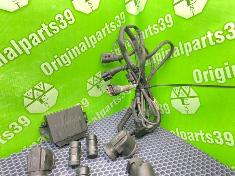 Парктроник, 3100 рублей, Калининград