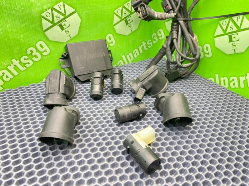 Парктроник, 3100 рублей, Калининград