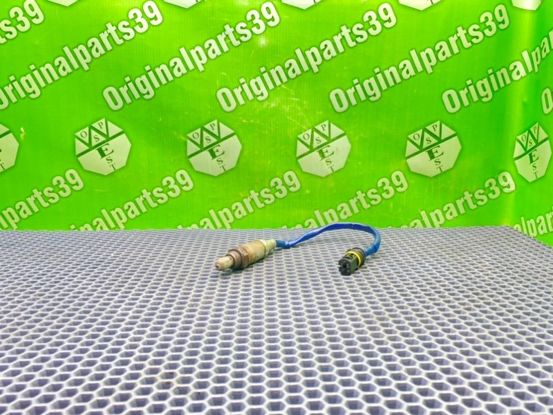 Лямбда зонд, 1000 рублей, Калининград