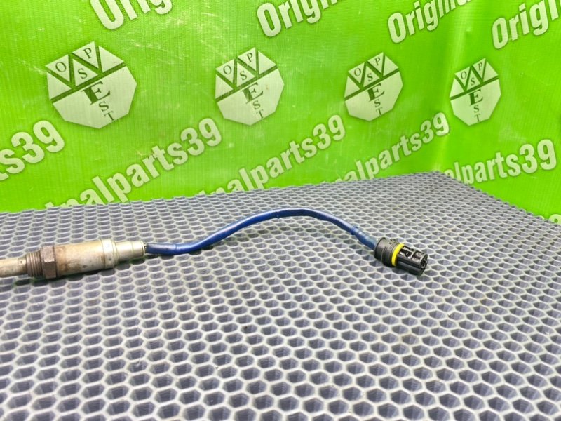 Лямбда зонд, 1000 рублей, Калининград