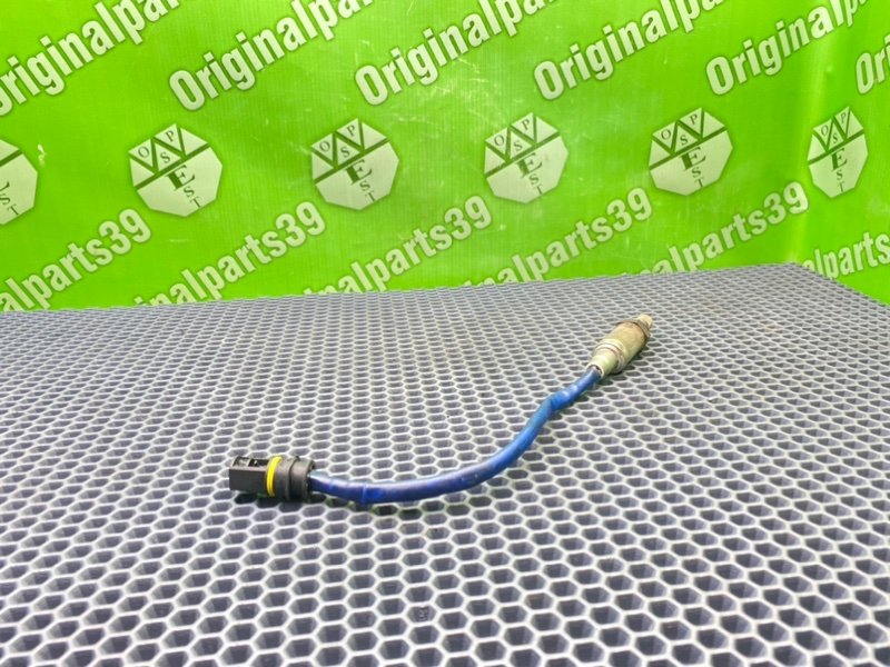 Лямбда зонд, 1000 рублей, Калининград